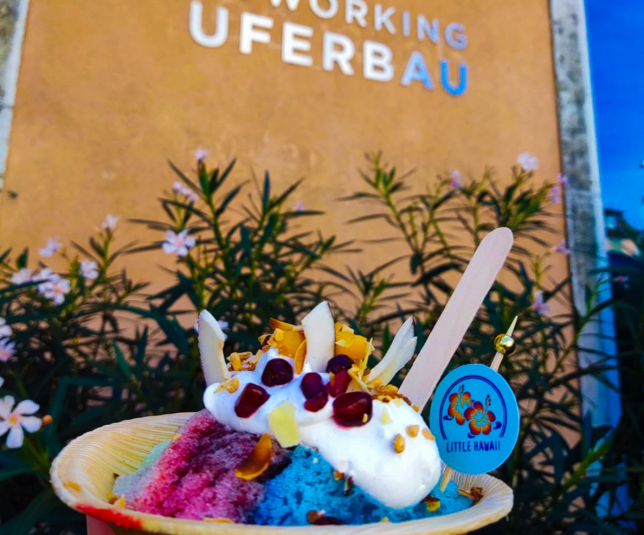 shave ice-dessert-glace-foodtruck-hawaii